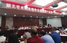 湖北水建當選湖北省水利水電企業協會理事單位